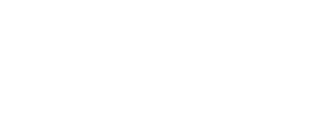 Brightspace logo.