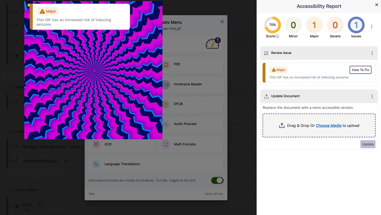 Screenshot with GIF issue notification.