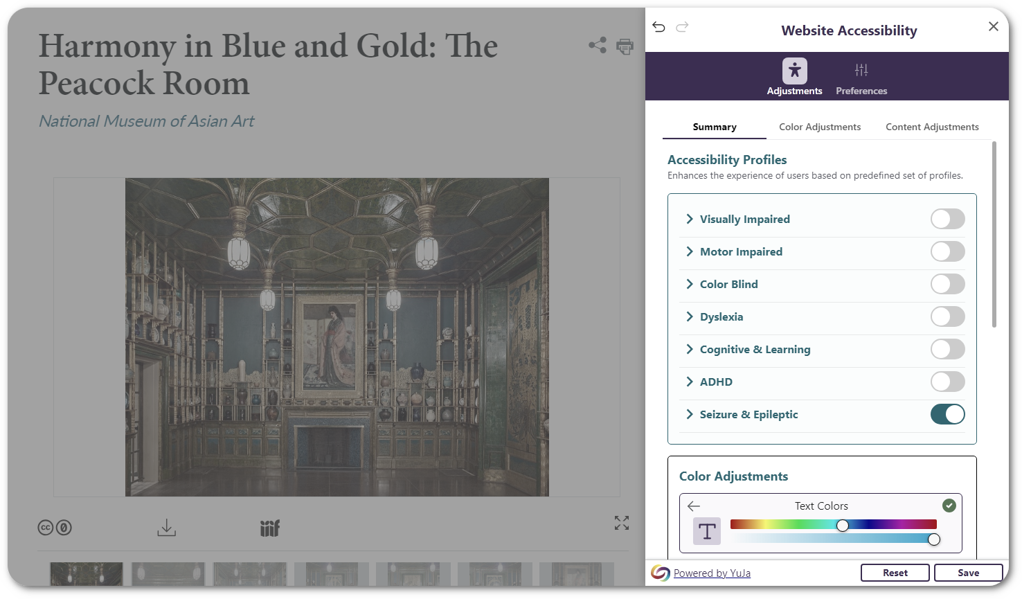 The Website Accessibility menu shows a summary tab highlighting all accessibility adjustments. 