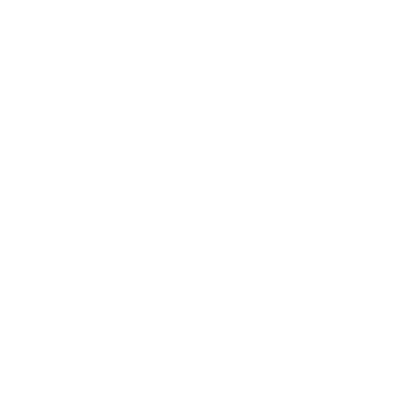 THE SOUTH CAROLINA DEPARTMENT OF EDUCATION white logo