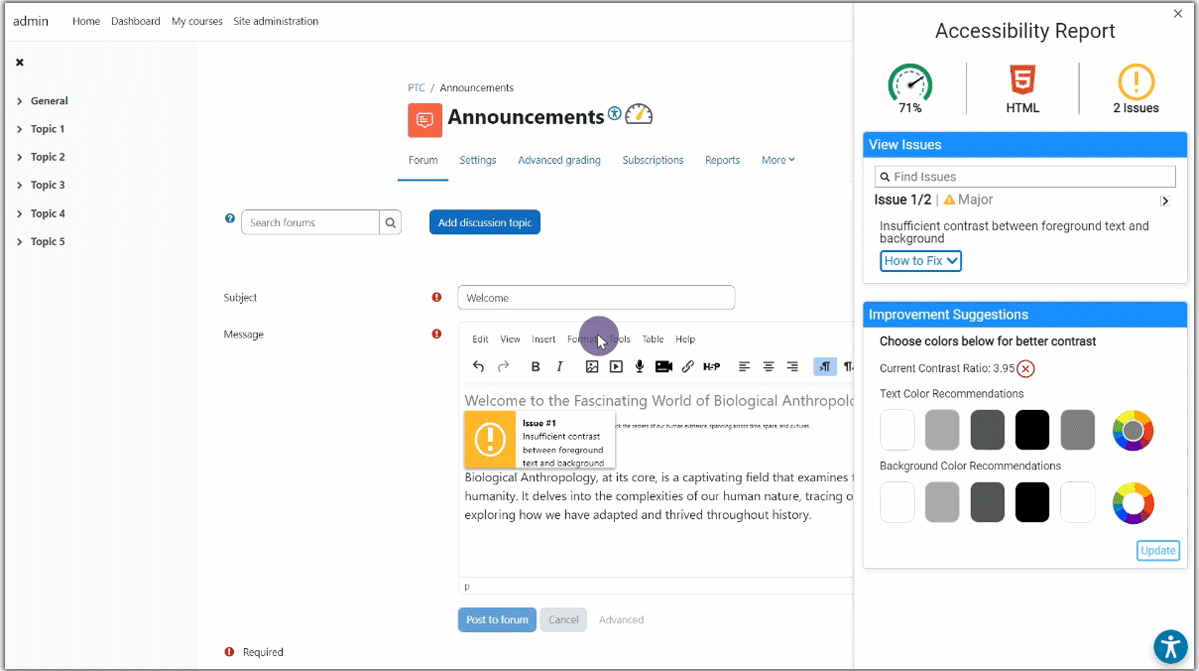 Accessibility Report being viewed when using Tiny MCE 6.0.