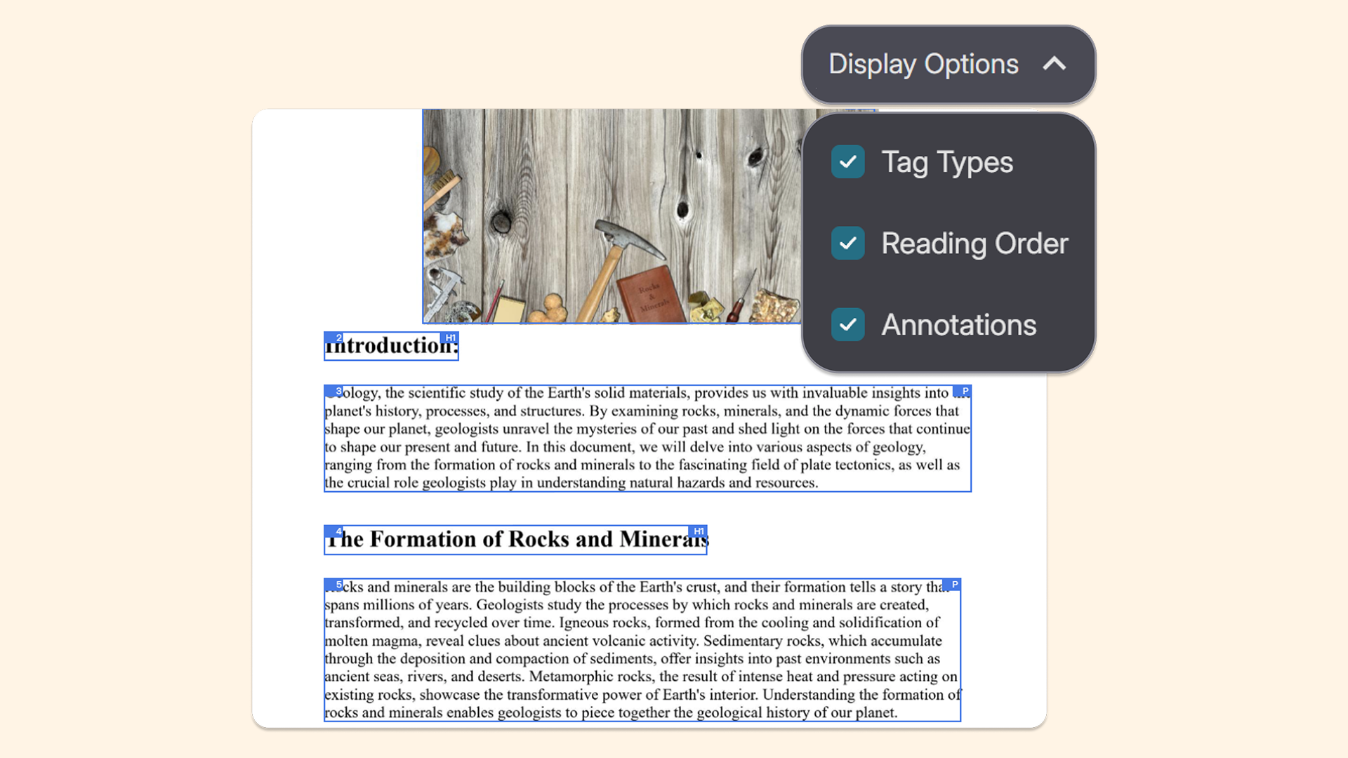 Improved display options: Users now have easy access to Tag Types, Reading Order, and Annotation display options to see how screen readers will interpret documents.