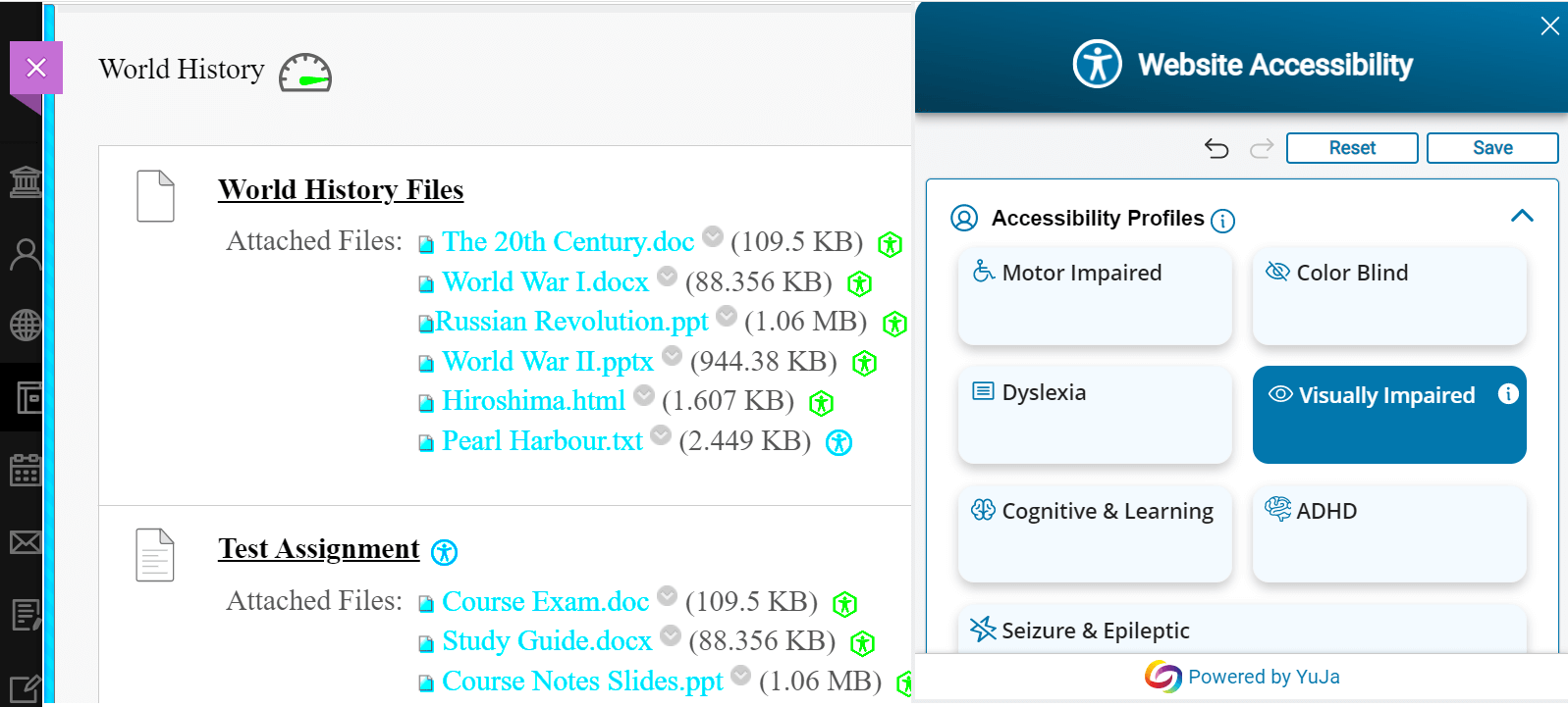 Website Accessibility