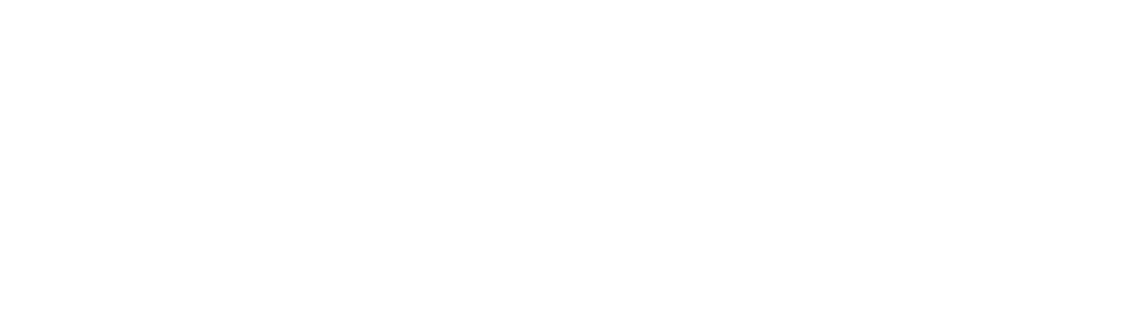 Brunswick Community College white logo