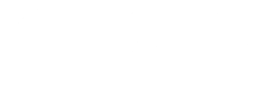 Central Arizona College white logo