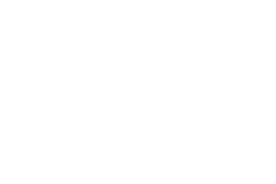Connecticut College white logo