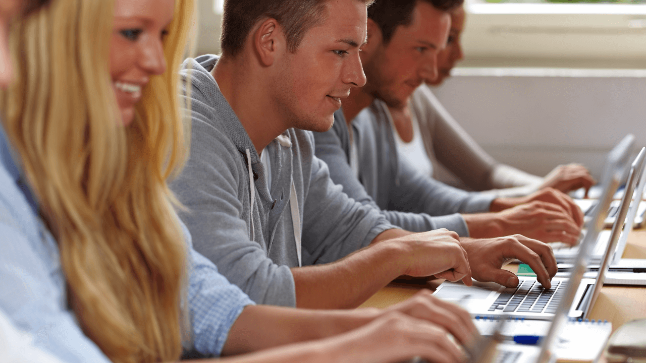 A group of students engaged in their laptops