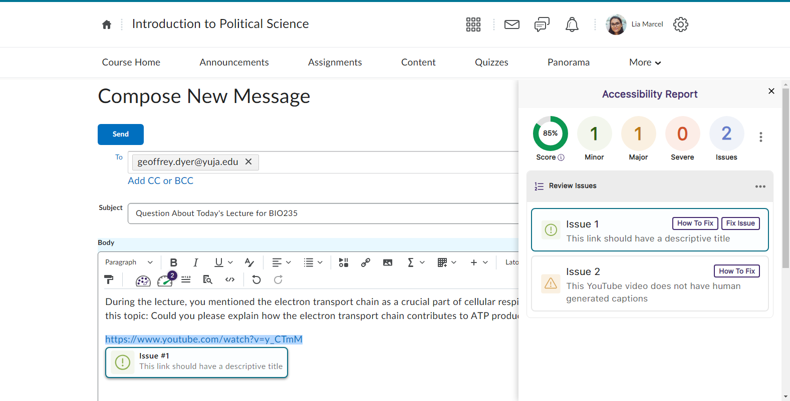 The Accessibility Report is shown for D2L Messages.