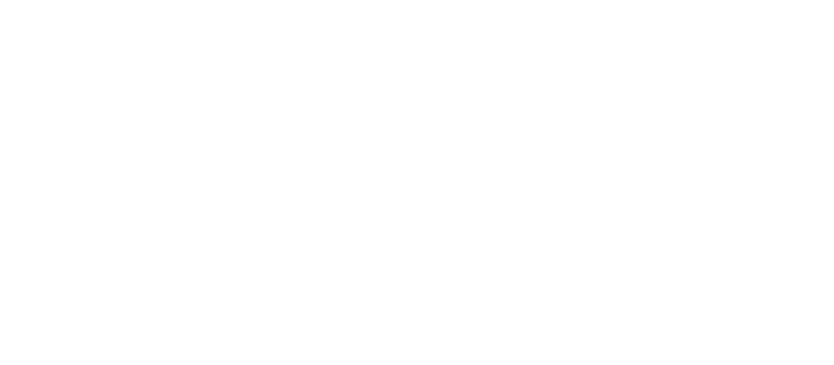 D2L White logo
