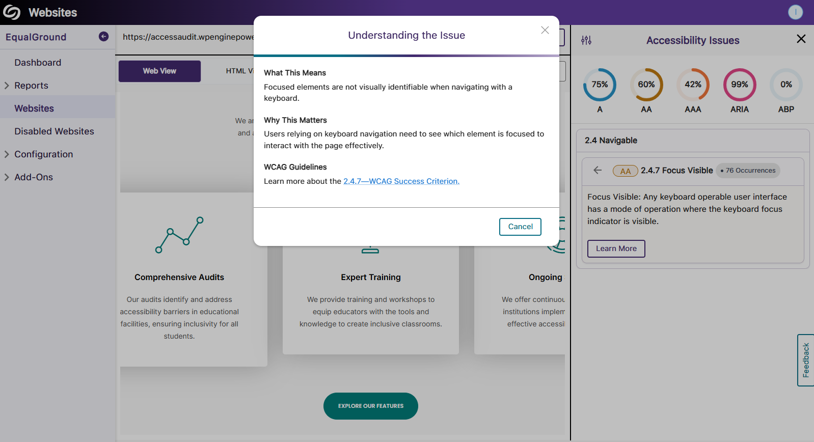 The Accessibility issues page of a website, highlighting more in-depth detection of WCAG and ARIA-related issues.