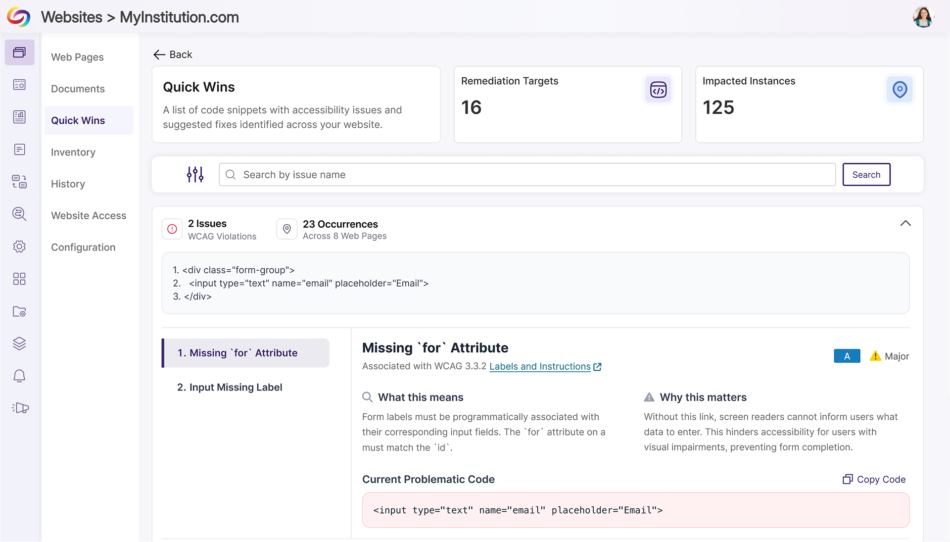 Highlight Problematic Code: Code snippets that cause accessibility issues are detected and highlighted on individual pages, making problem areas immediately visible.