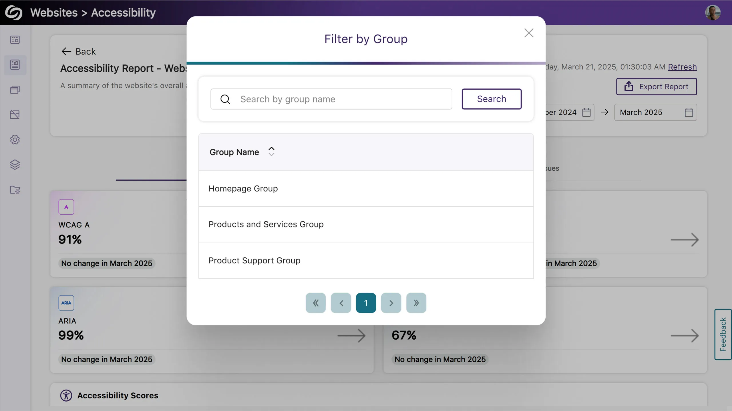 An image of the Accessibility Report page highlighting the Filter Report window.