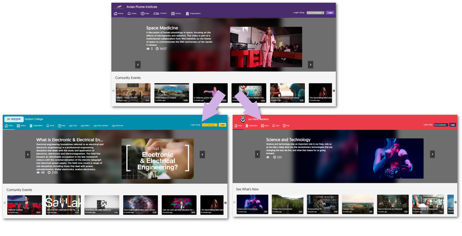 Three custom EnterpriseTube domains.