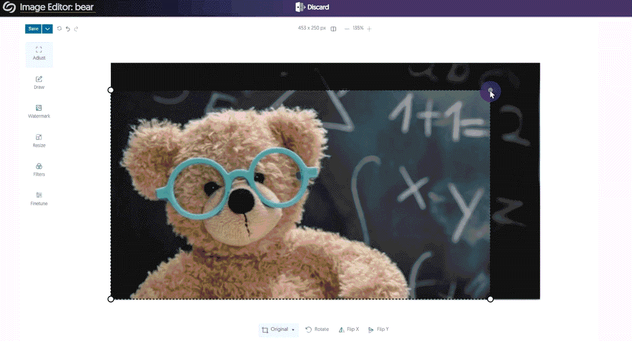 GIF showing image editor tools, including cropping and adding a shape to a photo of a bear.