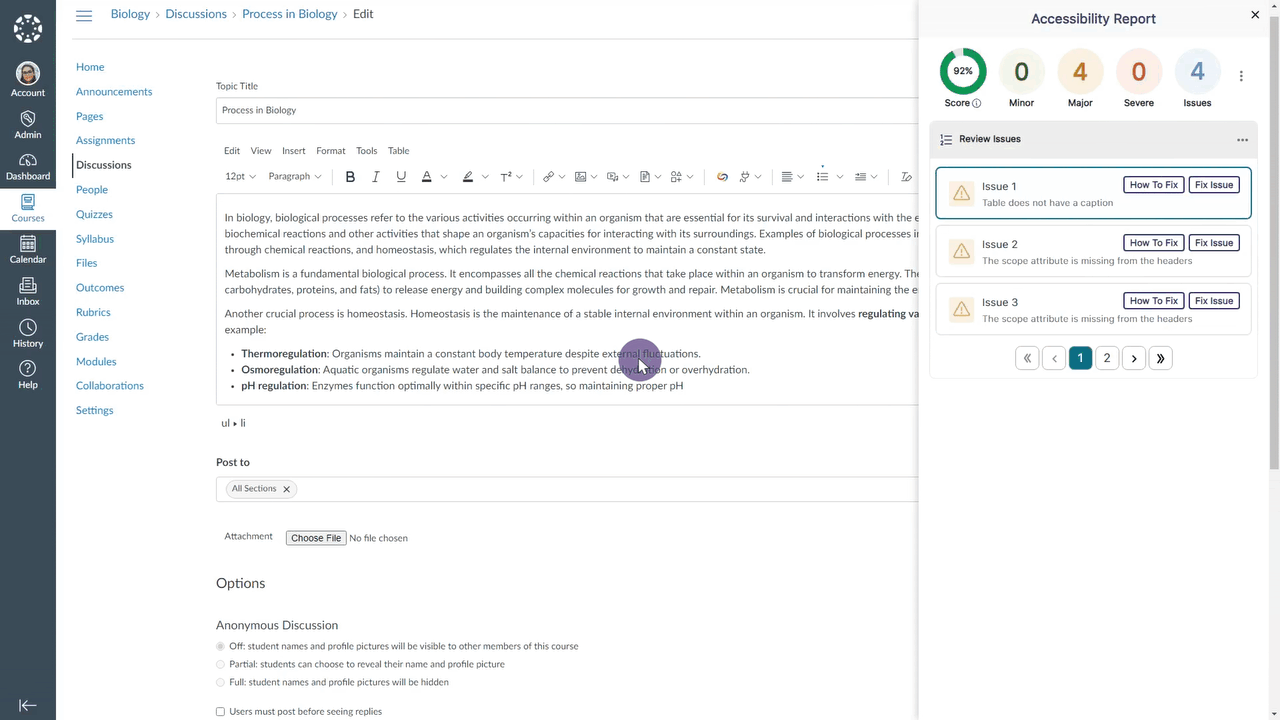 The accessibility report scrolls through issues for content in a WYSIWYG editor.