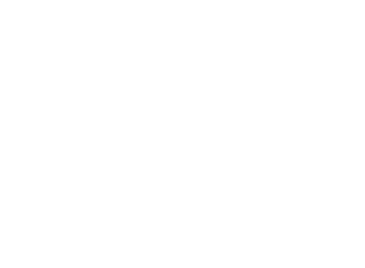 Lewisville Independent School District white logo.