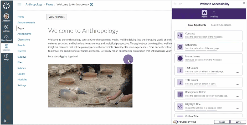 Website Accessibility features shown in Canvas.
