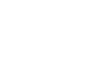 OCAD U Logo White