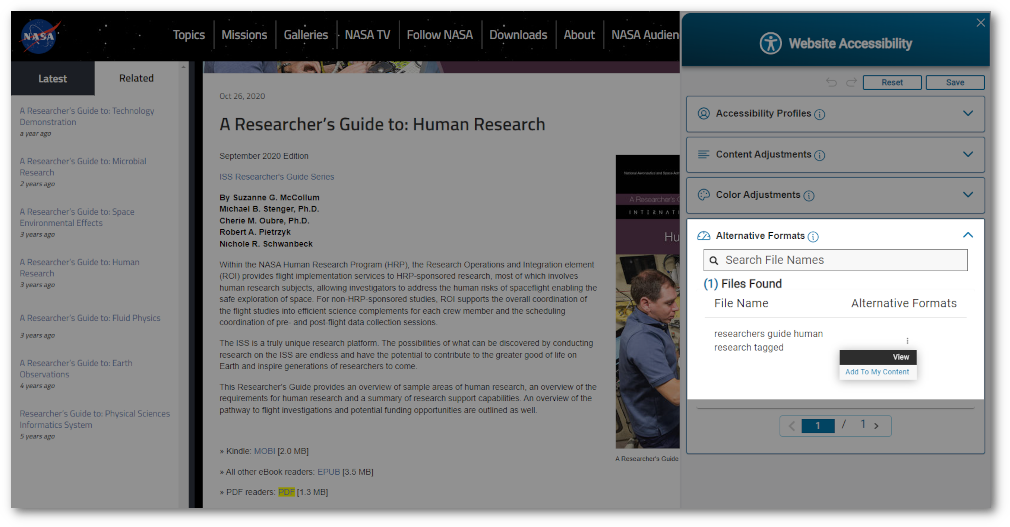 Alternative Formats option within Website Accessibility. 