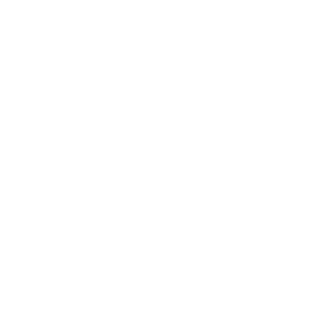 Saint Francis University logo white.