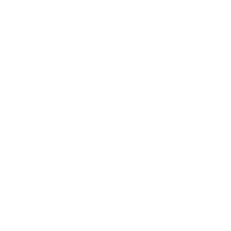 Saint Francis University white logo.