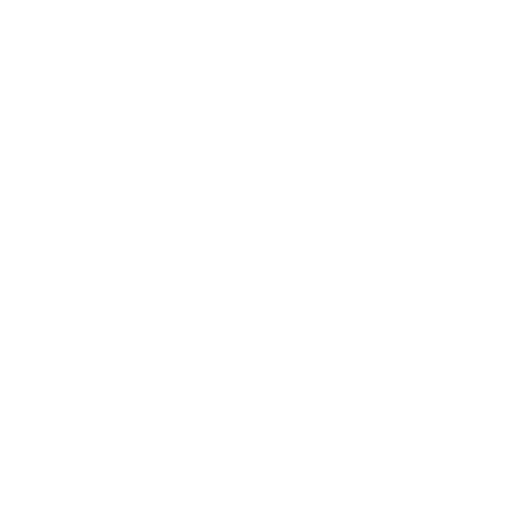 Saint Francis University