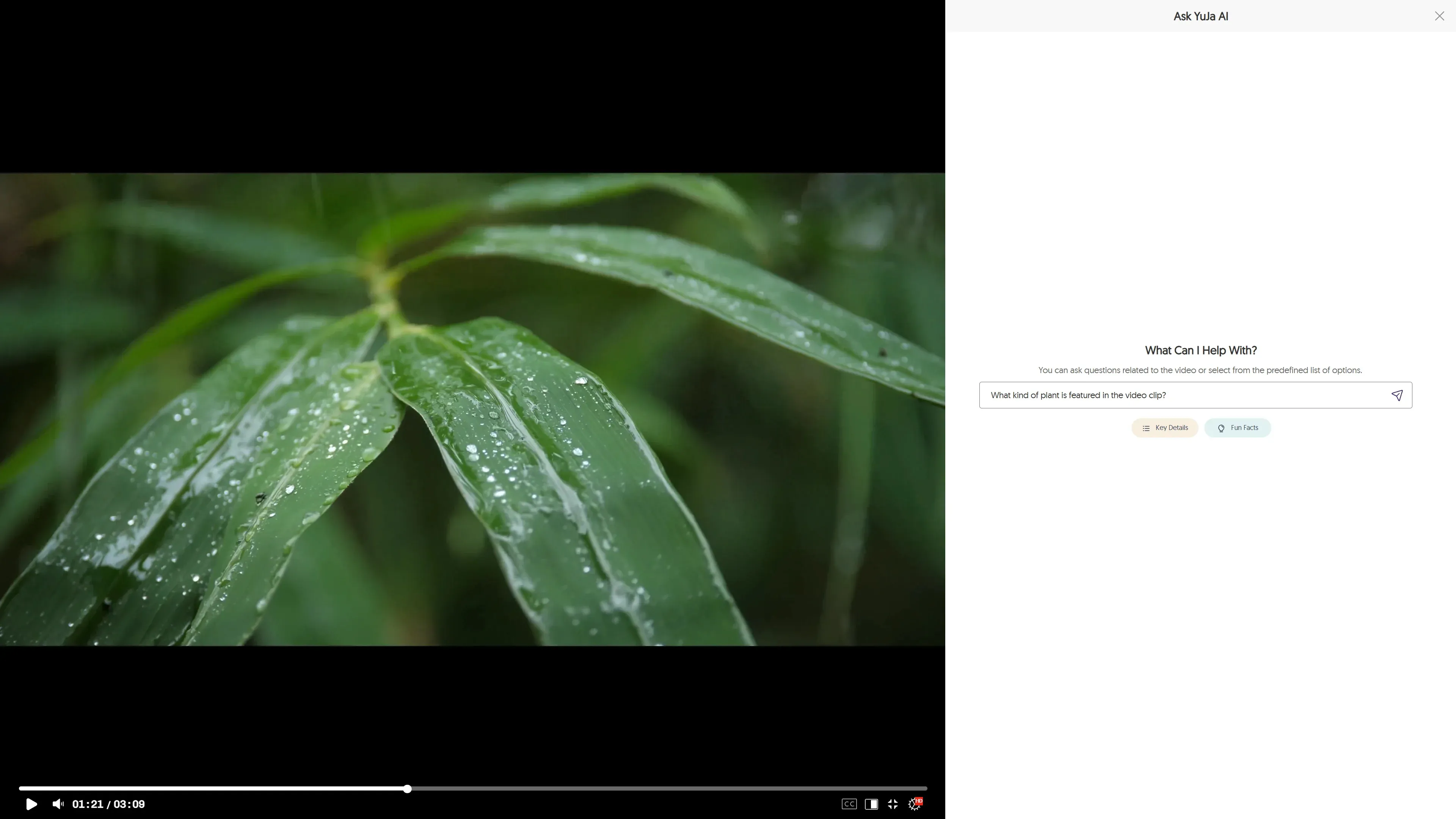 A video of a plant on the left with the Ask YuJa AI menu open on the right.