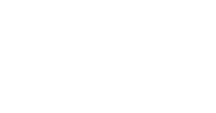 Sir Arthur Lewis Community College white logo