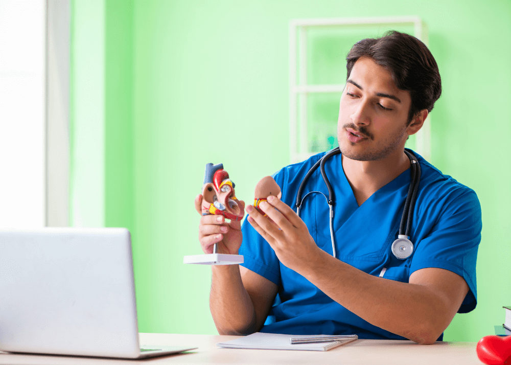 Student shows heart model in front of a laptop.