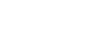 Southeastern Louisiana University white logo