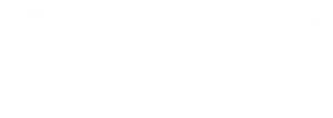 The University of West Florida white logo