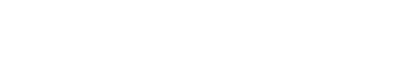 Touro College and University System logo.