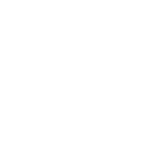 UMass Lowell White Logo