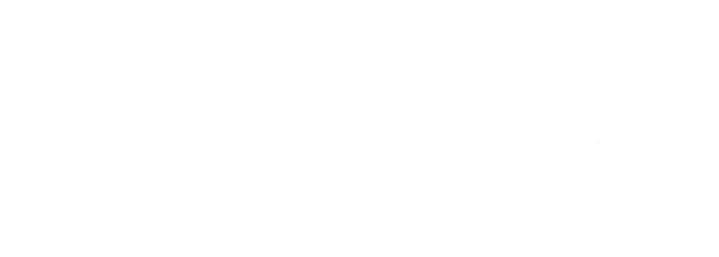 University of Akron white logo