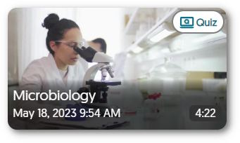 Video Quiz thumbnail.