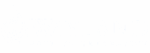 Wayland Baptist University white logo