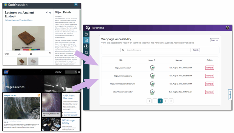 Websites shown in the Panorama Webpage Accessibility table.