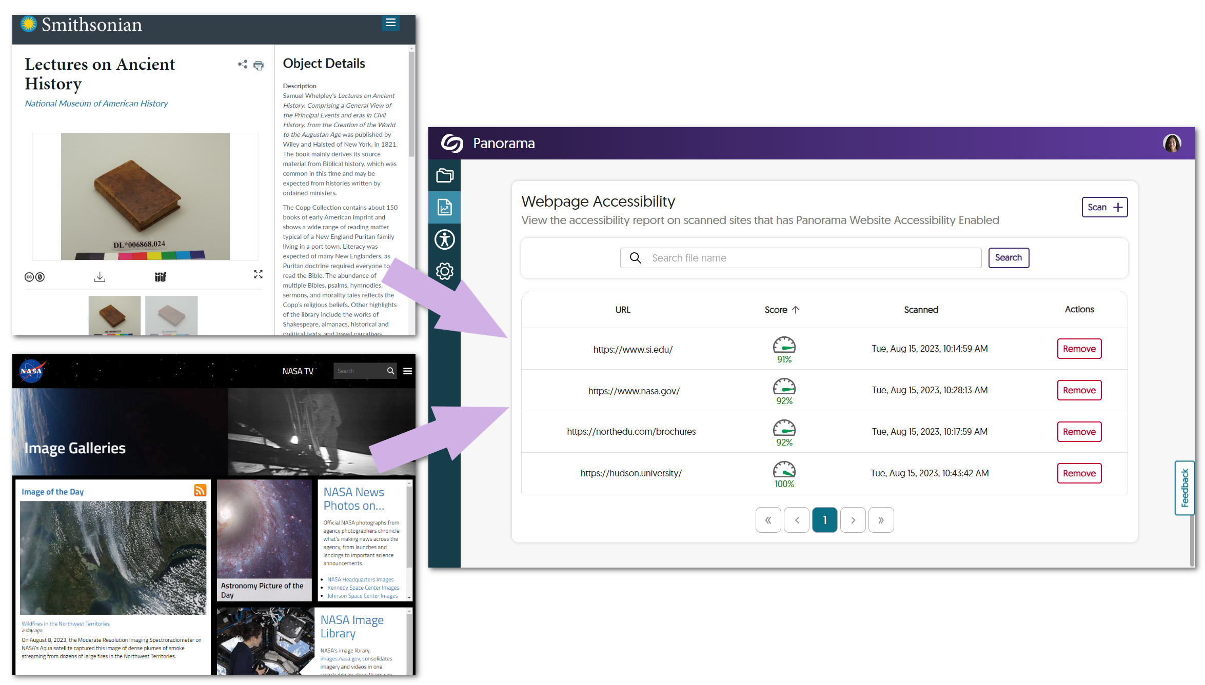 Websites shown in the Panorama Webpage Accessibility table.