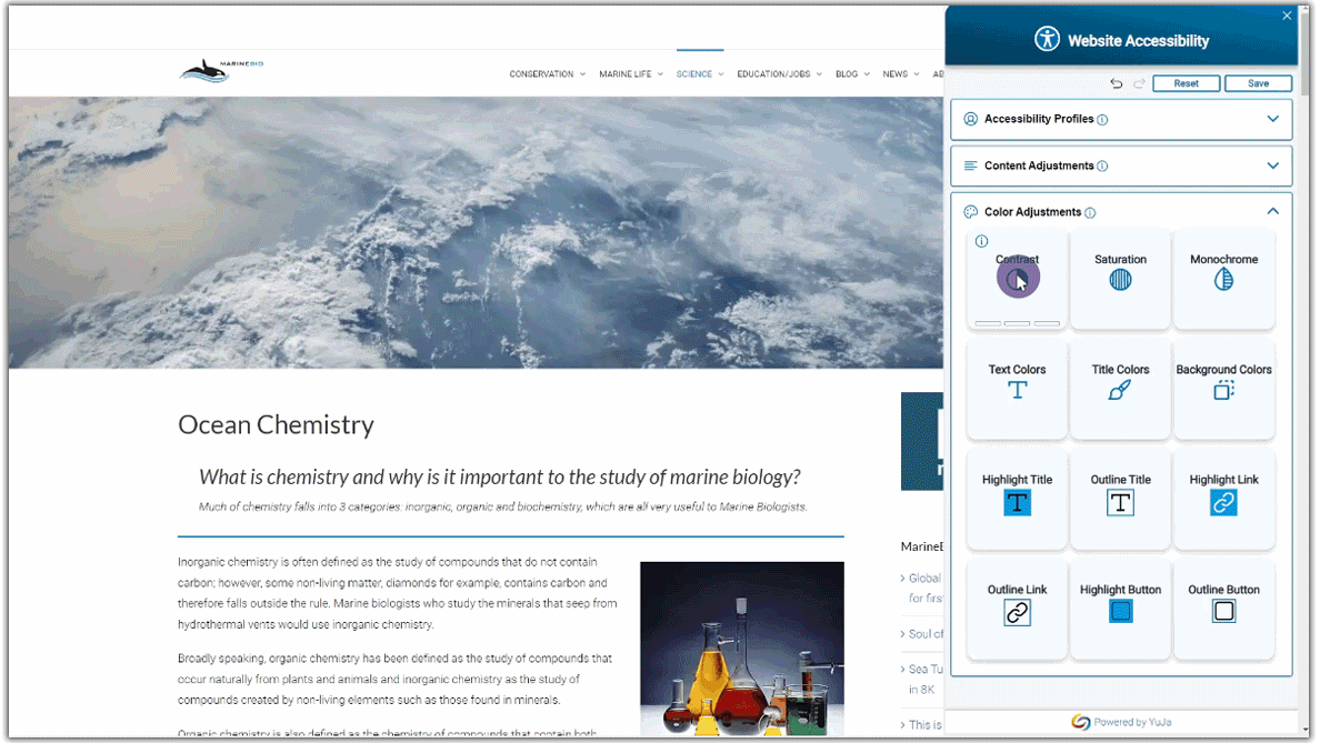 Website Accessibility featuring the contrast, saturation, and monochrome settings.