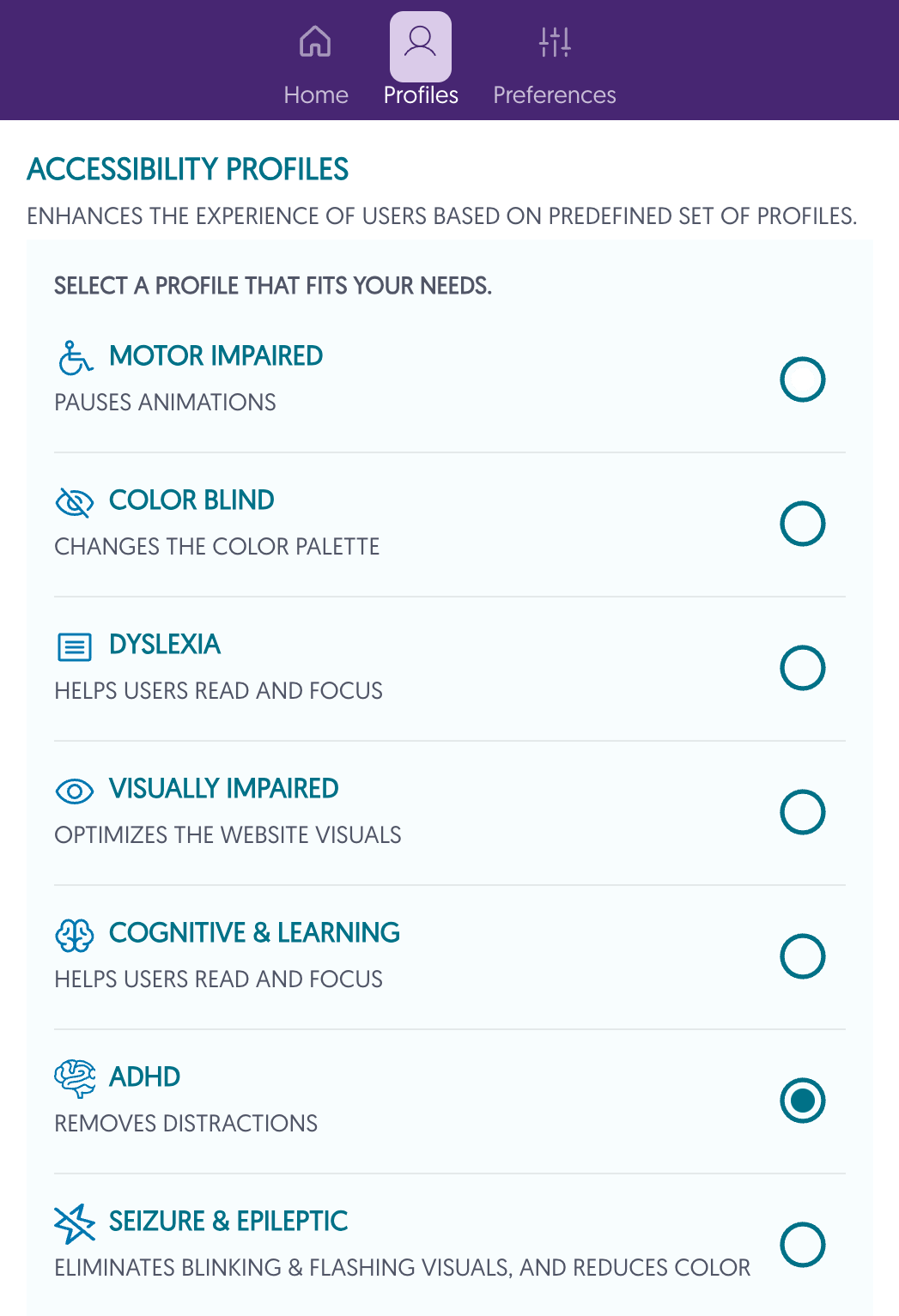 pop-up of accessibility profile options