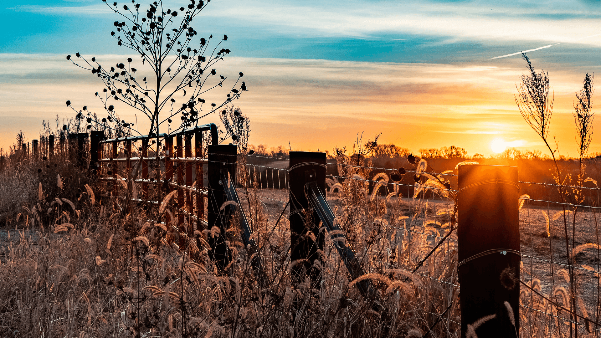 Sunset over a fence in a field, showcasing vibrant colors.