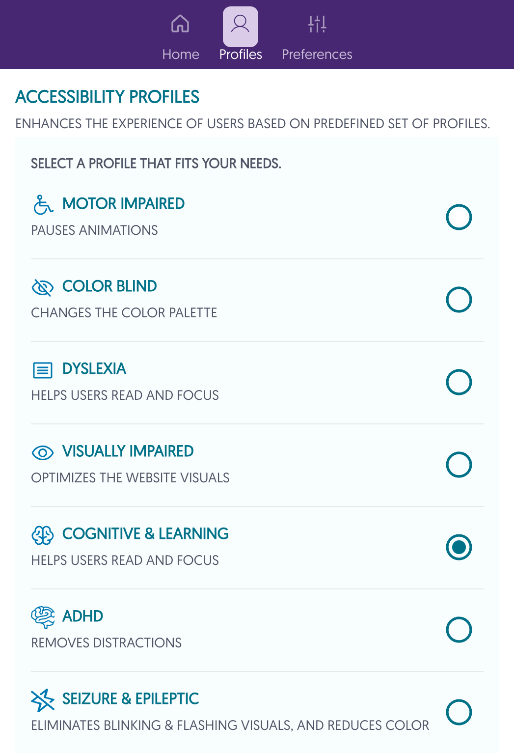 pop-up of accessibility profile options