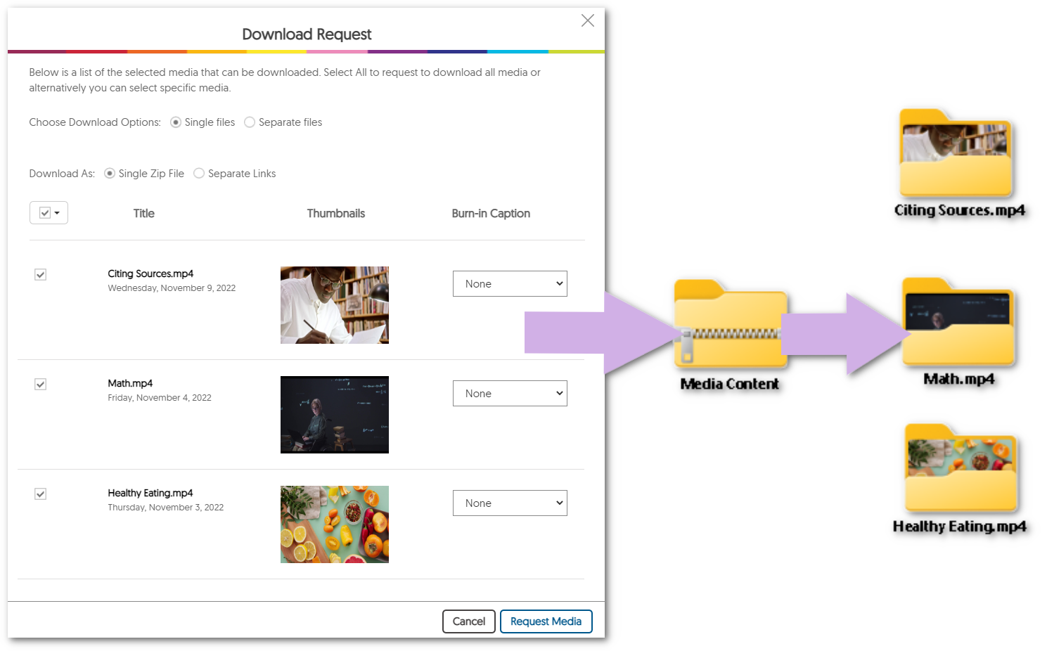 Download Request Window featuring videos to be downloaded. 