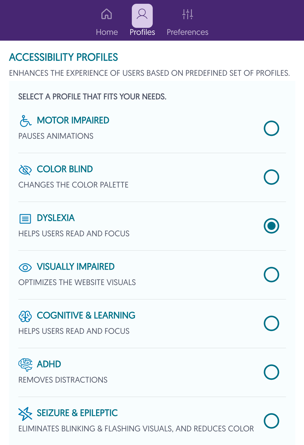 pop-up of accessibility profile options