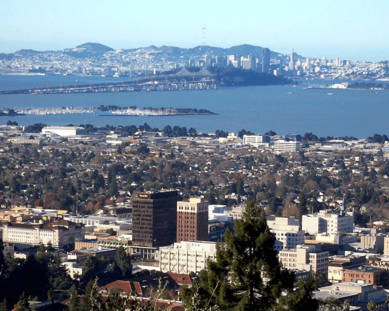 A view of san francisco from the top of a hill.