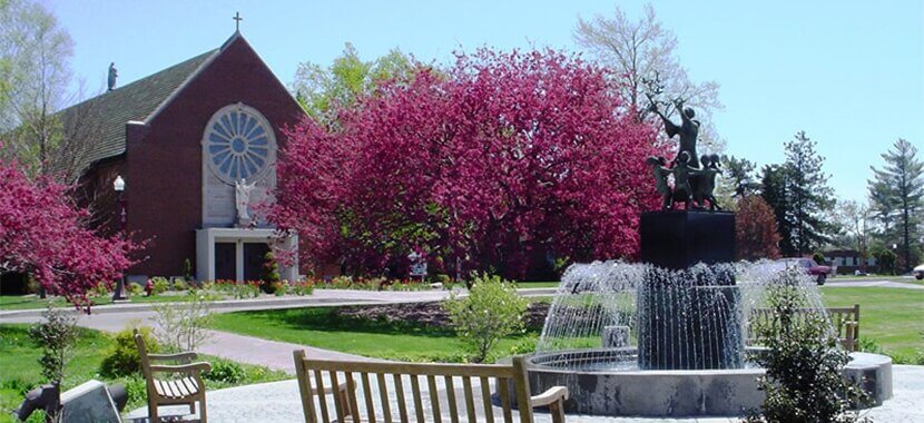 a purple tree at the Saint Francis University campus.