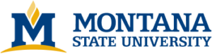 Montana State University Selects YuJa AutoPilot and YuJa Structural Remediation to Streamline Remediation Across Courses