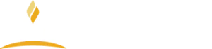Montana State University logo
