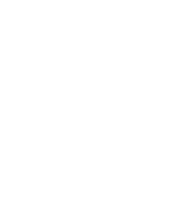 Lone star college log white