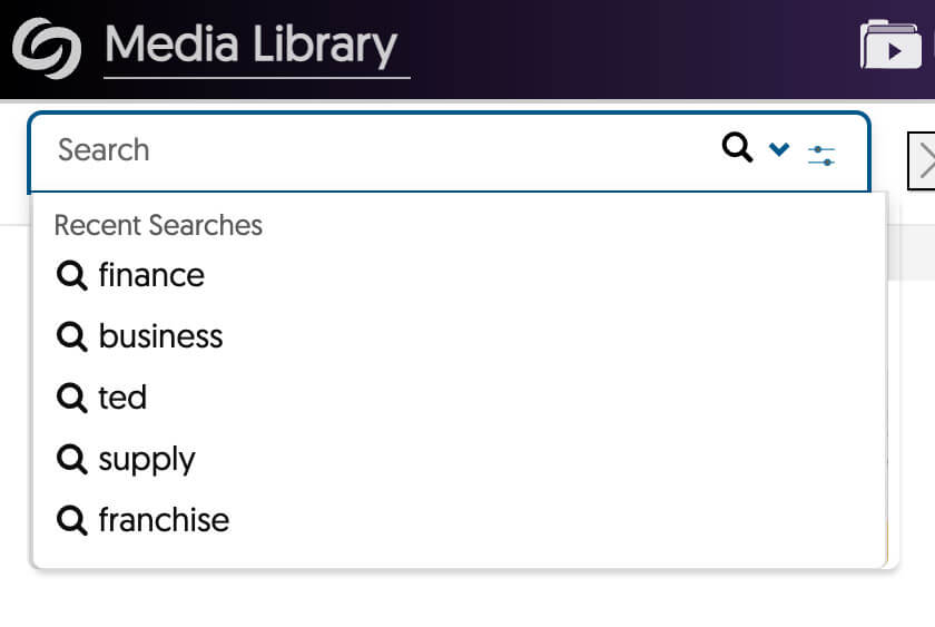 Screenshot of search input inside Media Library.